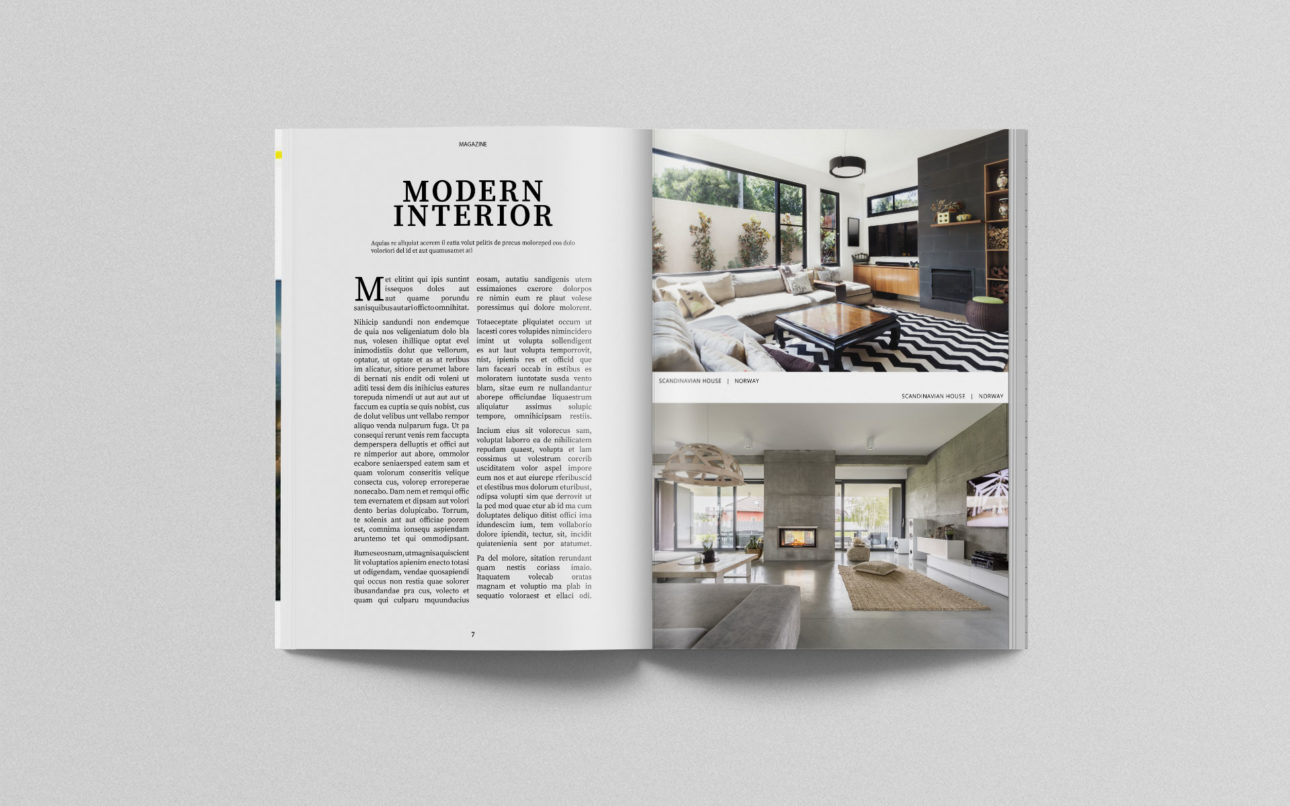 Evelyn-Morricone-Mockups-12